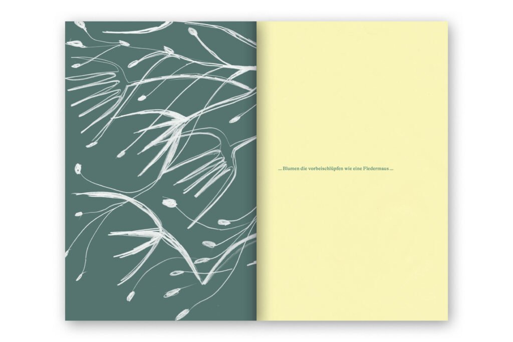 Captns Konzept und Gestaltung: Christoph Hauri Herbarium N°2